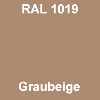 RAL 1019