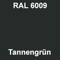 RAL 6009